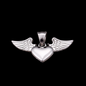 Angel Wings